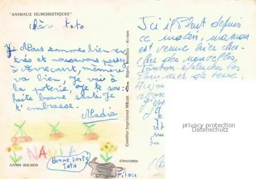 AK / Ansichtskarte Eule Owl Hibou Chouette-- 