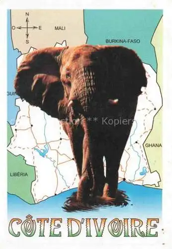 AK / Ansichtskarte Elefant Cote D Ivoire