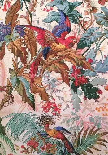 AK / Ansichtskarte Voegel Birds Oiseaux Manufacture  Thierry Mieg Publi Tex