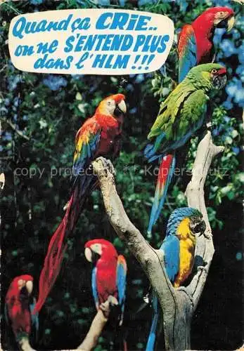 AK / Ansichtskarte Voegel Birds Oiseaux Aras Amerique du Sud