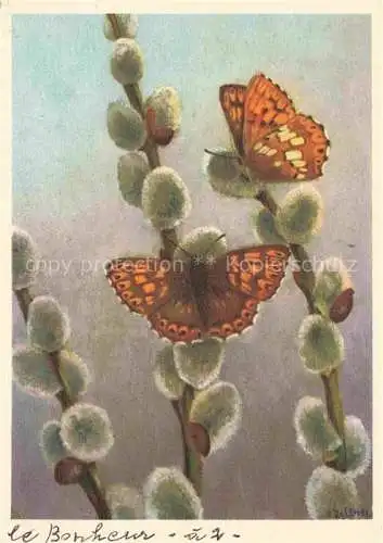 AK / Ansichtskarte ZELTNER C. Kuenstlerkarte Erycinikae Nemeobius Lucina Schmetterling 