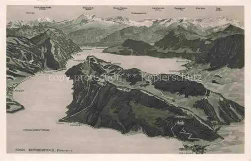 AK / Ansichtskarte Buergenstock Vierwaldstaettersee NW Panorama
