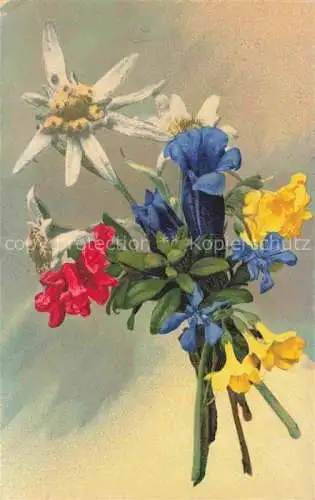 AK / Ansichtskarte Photochromie Verlag Photochromie Nr. 860 Blumen