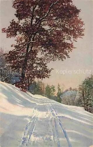 AK / Ansichtskarte Photochromie Verlag Photochromie Nr. 4037 Wald aufstieg 