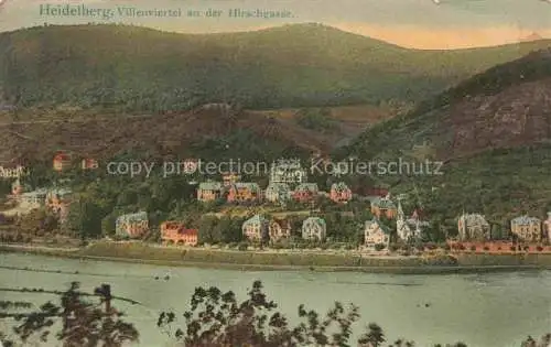AK / Ansichtskarte HEIDELBERG  Neckar Panorama Villenviertel an der Hirschgasse Blick ueber den Neckar