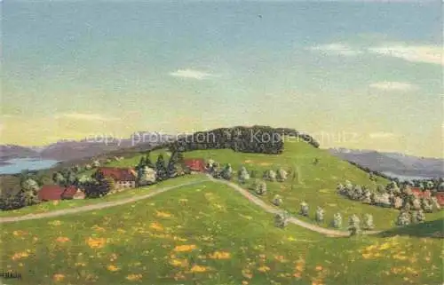 AK / Ansichtskarte Albis ZH Panorama mit Zuerichsee und Zugersee nach Original von H. Baur Kuenstlerkarte