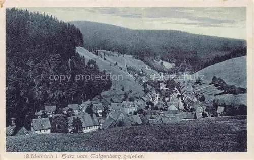AK / Ansichtskarte Wildemann Harz Panorama Blick vom Galgenberg