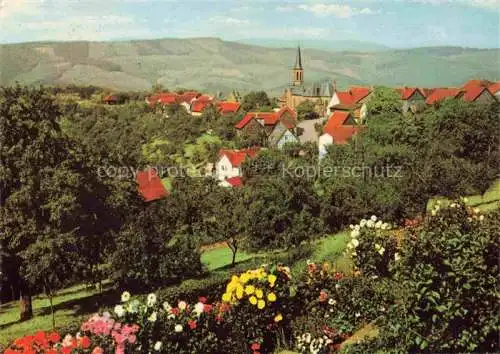 AK / Ansichtskarte Rothenberg Odenwald Hessen Panorama