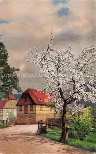 AK / Ansichtskarte Photochromie Verlag Photochromie Nr. 4101 Serie 260 Blumenbaum