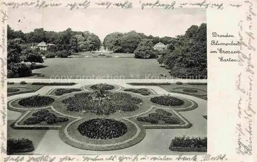 AK / Ansichtskarte DRESDEN Elbe Blumenbeet im Grossen Garten