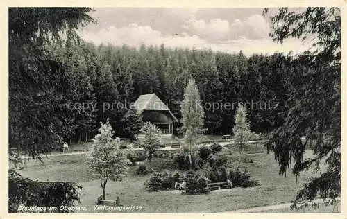 AK / Ansichtskarte Braunlage Harz Verlobungswiese
