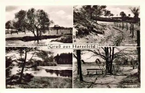 AK / Ansichtskarte Harsefeld Stade Niedersachsen Panorama Auetal Heldenhuegel Rosenborn