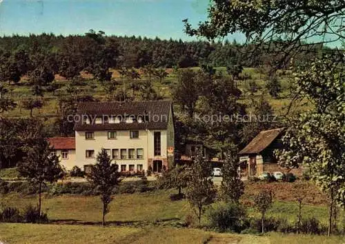 AK / Ansichtskarte Annelsbach Hoechst  Odenwald Pension Dornroeschen Cafe