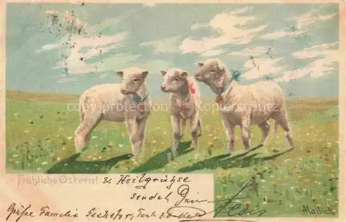 AK / Ansichtskarte MAILICK A. Kuenstlerlitho Nr. Ostern Easter Paques Laemmchen Litho