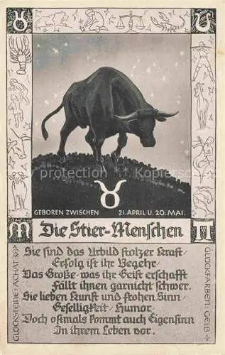 AK / Ansichtskarte Sternzeichen Zodiac Sign Signe Zodiaque Stier 