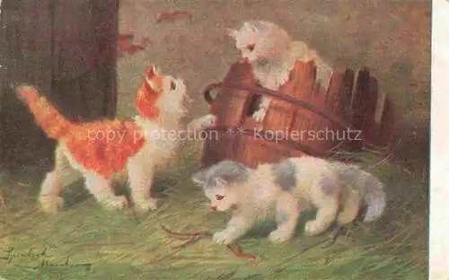 AK / Ansichtskarte KATZEN Cats Chats Gatos Gatti-- Bauernhof 