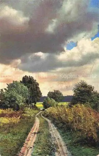 AK / Ansichtskarte Photochromie Verlag Photochromie Nr. 2808 Wiese Serie 152 