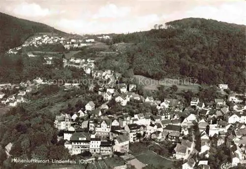 AK / Ansichtskarte Lindenfels Odenwald Panorama Hoehenluftkurort