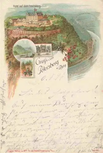 AK / Ansichtskarte Koenigswinter Rhein Hotel auf dem Petersberg Kuenstlerkarte Deutsche Reichspost