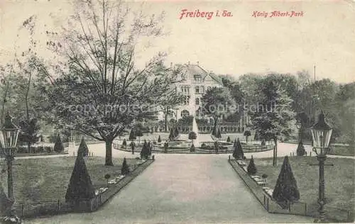 AK / Ansichtskarte FREIBERG  Sachsen Koenig-Albert-Park