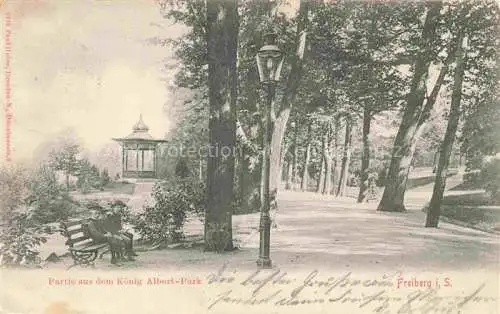 AK / Ansichtskarte FREIBERG  Sachsen Partie im Koenig Albert Park