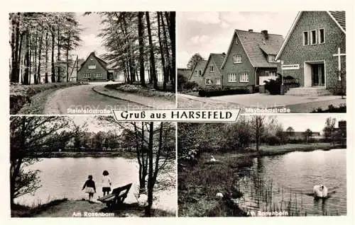 AK / Ansichtskarte Harsefeld Stade Niedersachsen Steinfeldstrasse Maybohmstrasse Am Rosenborn Schwan