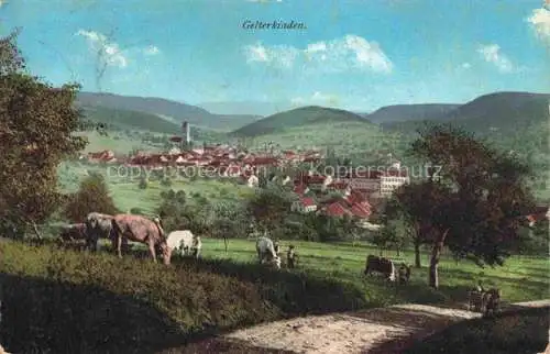 AK / Ansichtskarte Gelterkinden BL Panorama