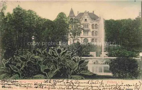 AK / Ansichtskarte FREIBERG  Sachsen Koenig Albert-Park