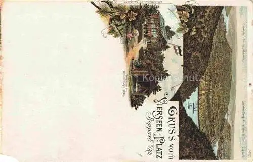 AK / Ansichtskarte Boppard Rhein Rheinland-Pfalz Panorama Vierseen-Platz Litho