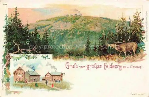 AK / Ansichtskarte Feldberg 882m Taunus Landschaftspanorama Hirsch Berghotel Kuenstlerkarte