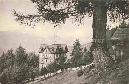 AK / Ansichtskarte Mayens de Sion VS Hôtel Rosa Blanche