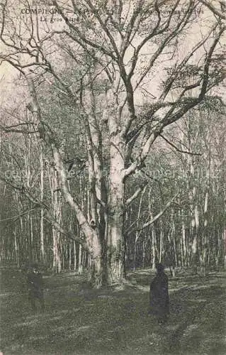 AK / Ansichtskarte COMPIEGNE 60 Oise Park Duellanten