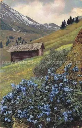 AK / Ansichtskarte Photochromie Verlag Photochromie Nr. 786 Myosotis alpestris Huette
