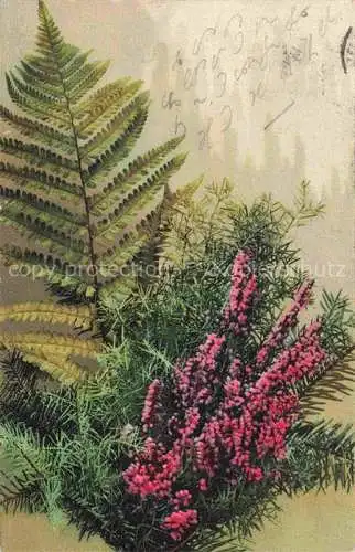 AK / Ansichtskarte Photochromie Verlag Photochromie Nr. Blumenk Serie 594