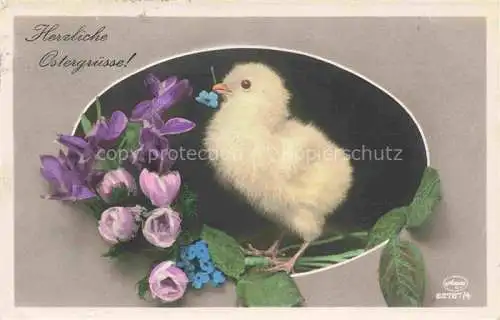 AK / Ansichtskarte Foto Amag Nr. 62787/4 Ostern Paques Kueken Blumen 