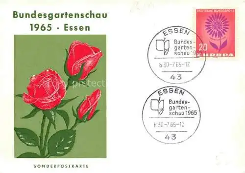 AK / Ansichtskarte BUGA Bundesgartenschau Essen Sonderpostkarte Rosen