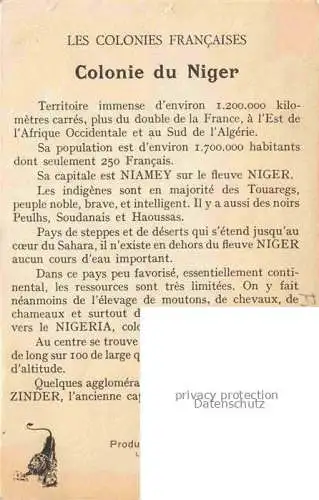 AK / Ansichtskarte Afrique Occidentale Le Niger Colonies Francaises