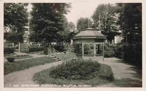 AK / Ansichtskarte Bad Oppelsdorf Opolno Zdroj PL Stahlquelle Wilhelm-Brunnen