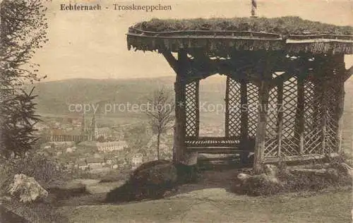 AK / Ansichtskarte Echternach Luxembourg Trosskneppchen