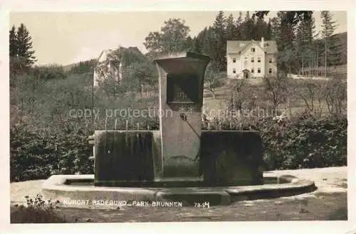 AK / Ansichtskarte Radegund Graz Sankt Steiermark AT Parkbrunnen Feldpost
