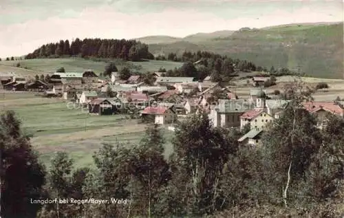 AK / Ansichtskarte Langdorf Regen Bayern Panorama