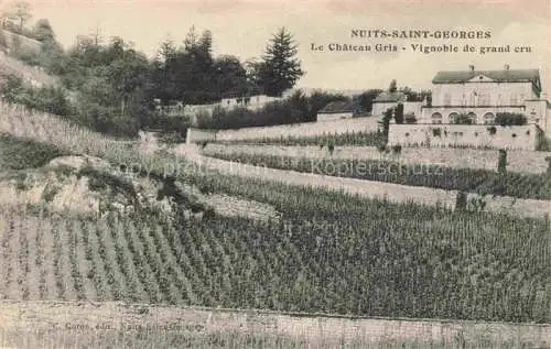 AK / Ansichtskarte Nuits-Saint-Georges Beaune 21 Cote-d Or Château Gris vignoble du grand cru