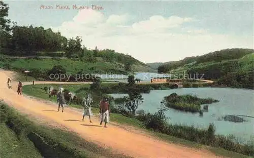 AK / Ansichtskarte Nuwara Eliya Ceylon SRI LANKA Moon Plains