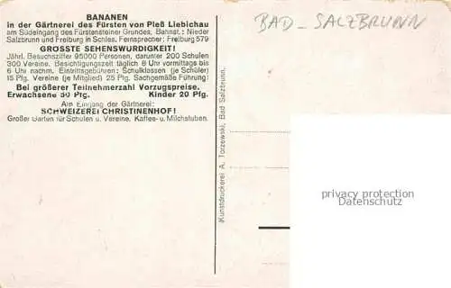 AK / Ansichtskarte Bad Salzbrunn Szczawno-Zdroj PL Bananen Gaertnerei des Fuersten von Pless Liebichau