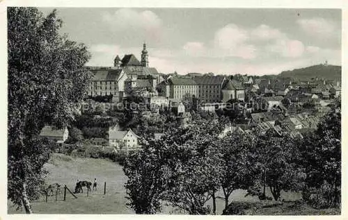 AK / Ansichtskarte Sulzbach-Rosenberg Panorama