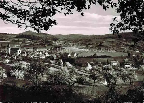 AK / Ansichtskarte Kirschhausen Heppenheim Bergstrasse Hessen Panorama Luftkurort
