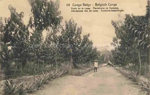 AK / Ansichtskarte Congo Belge Belgisch KONGO Poste de la Lowa Plantations de Funtumia