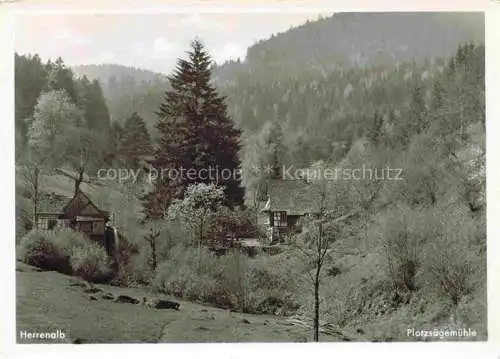 AK / Ansichtskarte Loffenau Bad Herrenalb BW Plotzsaegemuehle