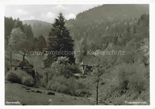 AK / Ansichtskarte Loffenau Bad Herrenalb BW Waldrestaurant zur Plotzsaegemuehle