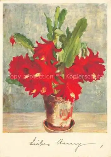 AK / Ansichtskarte SCHELLENBERG J. R. Huetten Kuenstlerkarte Roter Kaktus Rouge Cactus Litho
